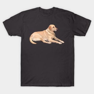 Yellow Labrador T-Shirt